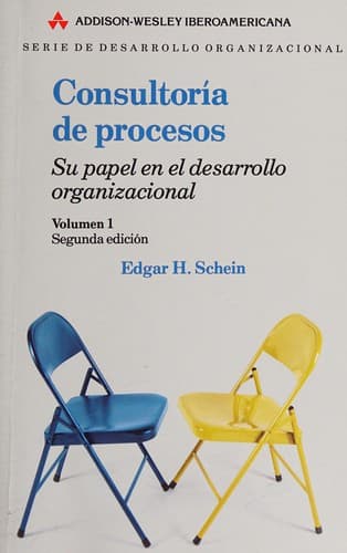 Portada de Consultoría de procesos