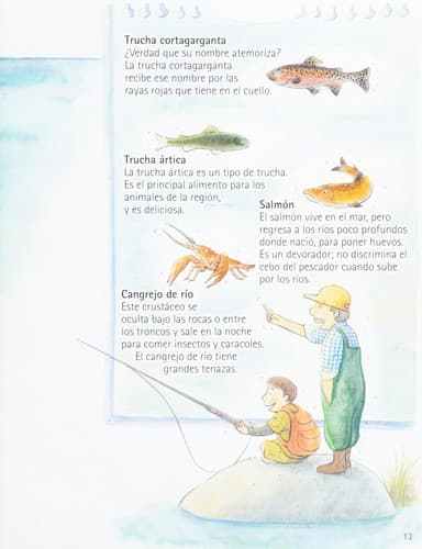 Portada de Mi investigación