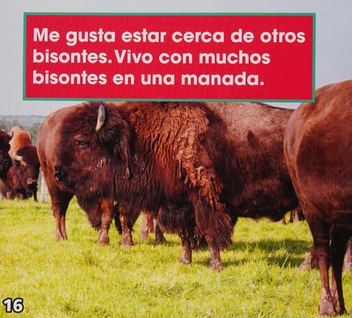 Portada de Los bisontes