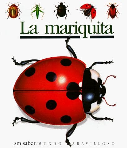 Portada de LA Mariquita/Ladybugs (Coleccion ""Mundo Maravilloso""/First Discovery Series)